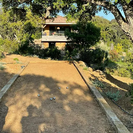 Modern With Sea View In Corsica