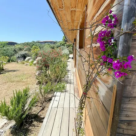 Modern With Sea View In Corsica * Pianottoli-Caldarello (Corsica)