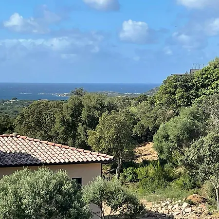Modern With Sea View In Corsica