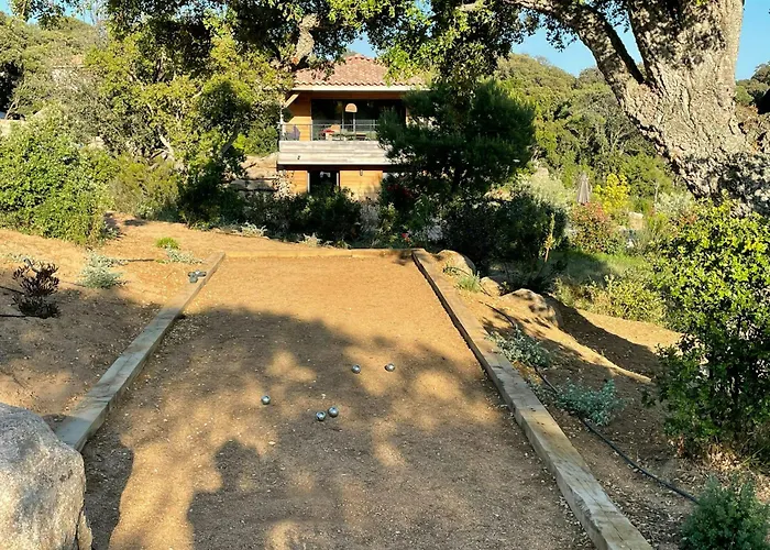 Modern With Sea View In Corsica