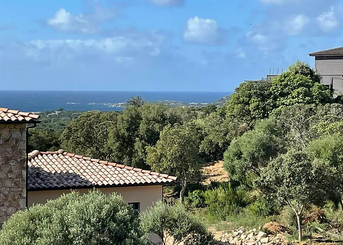 Modern With Sea View In Corsica